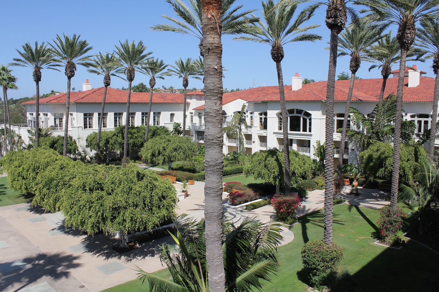 a building with palm trees and a lawn