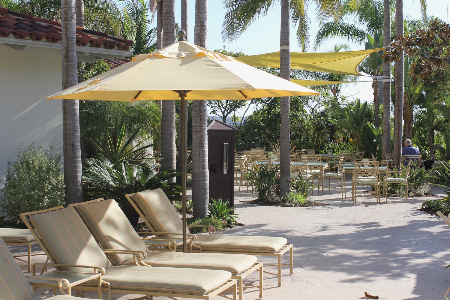 a group of chairs and umbrellas under a shade