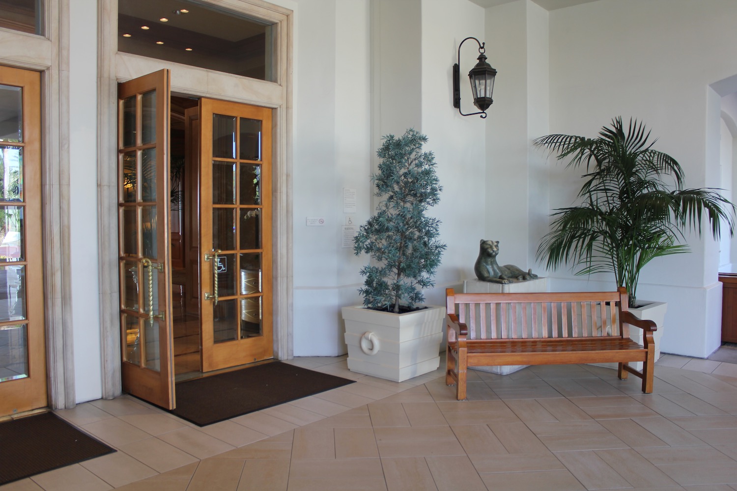 a wooden bench in a room with a bench and a plant