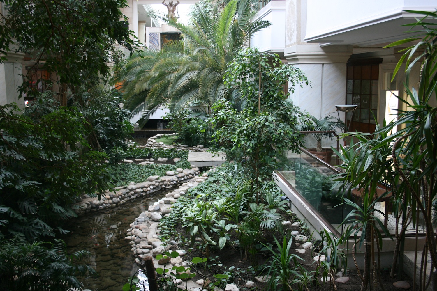 a small river with plants and trees in a courtyard