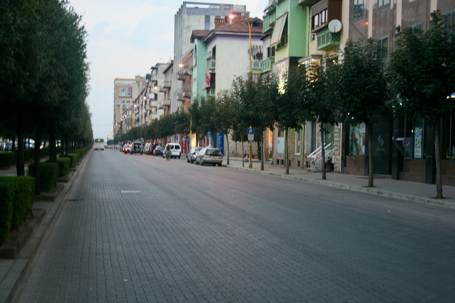 a street with trees on the side