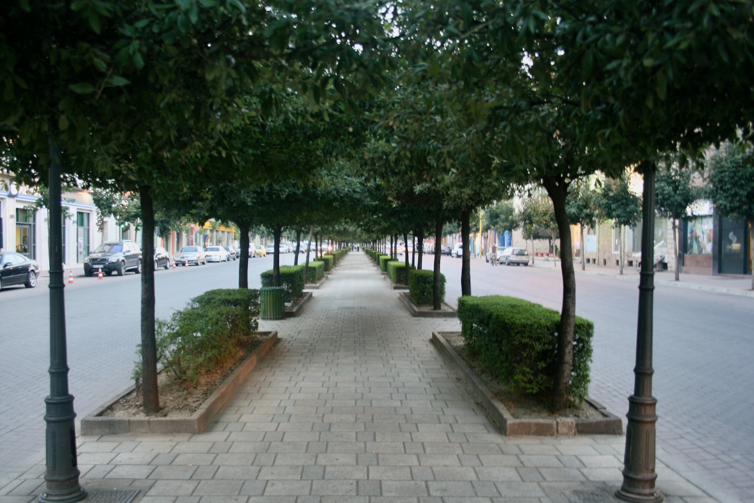 a sidewalk with trees and bushes on it