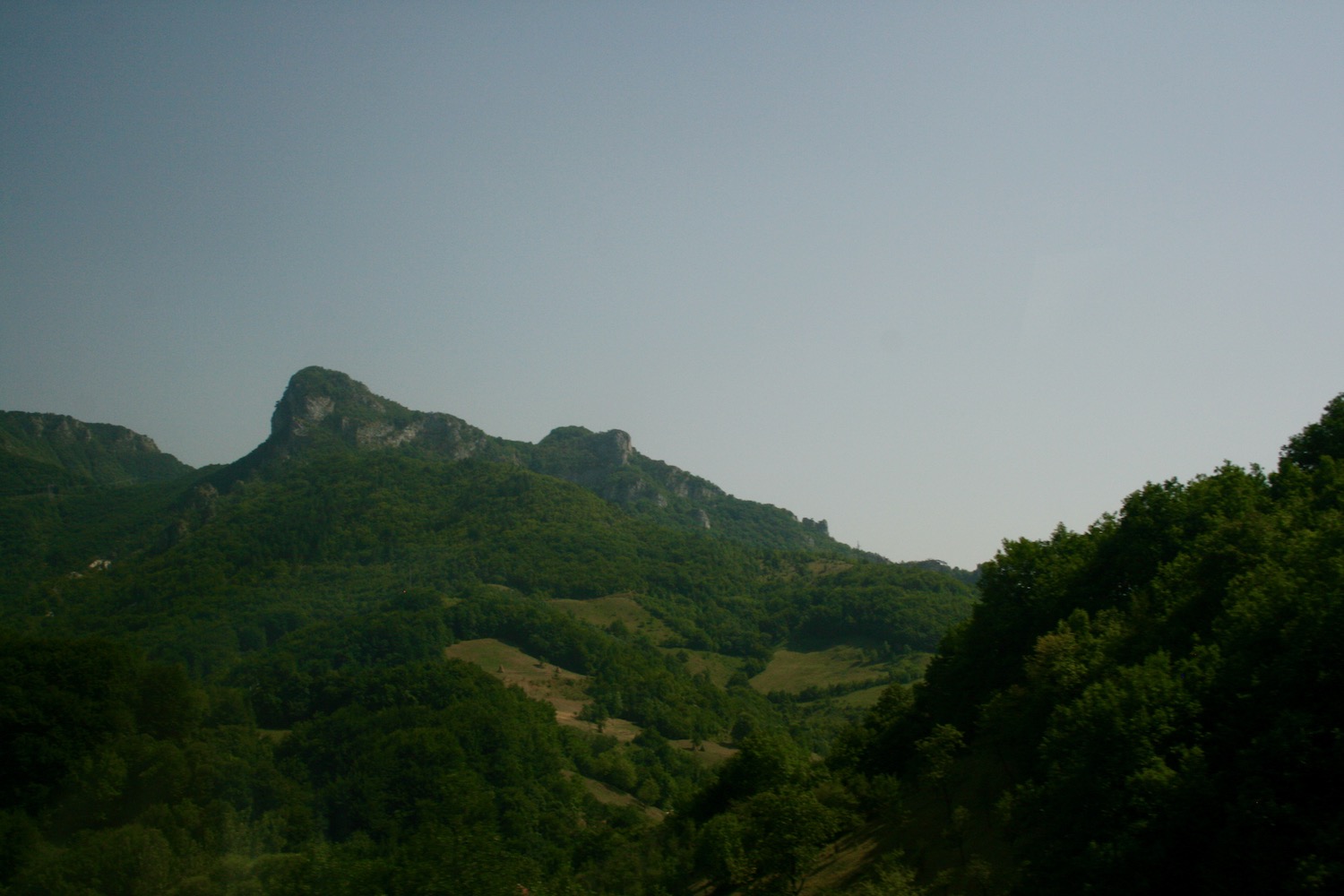 a green mountain with trees