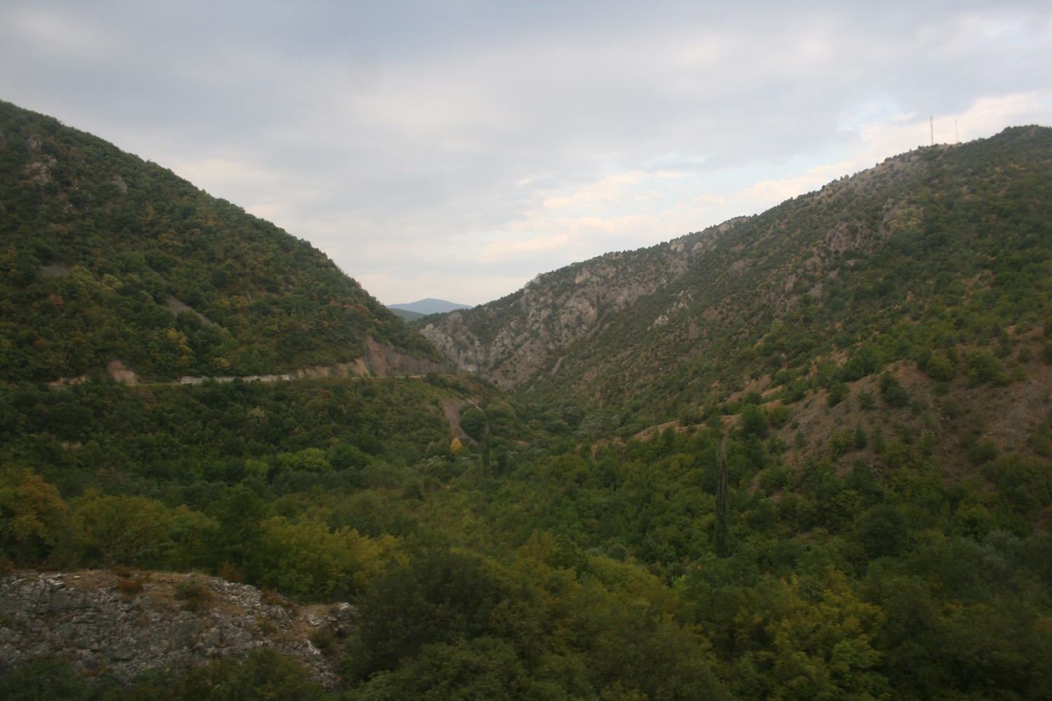 a mountain with trees and a road