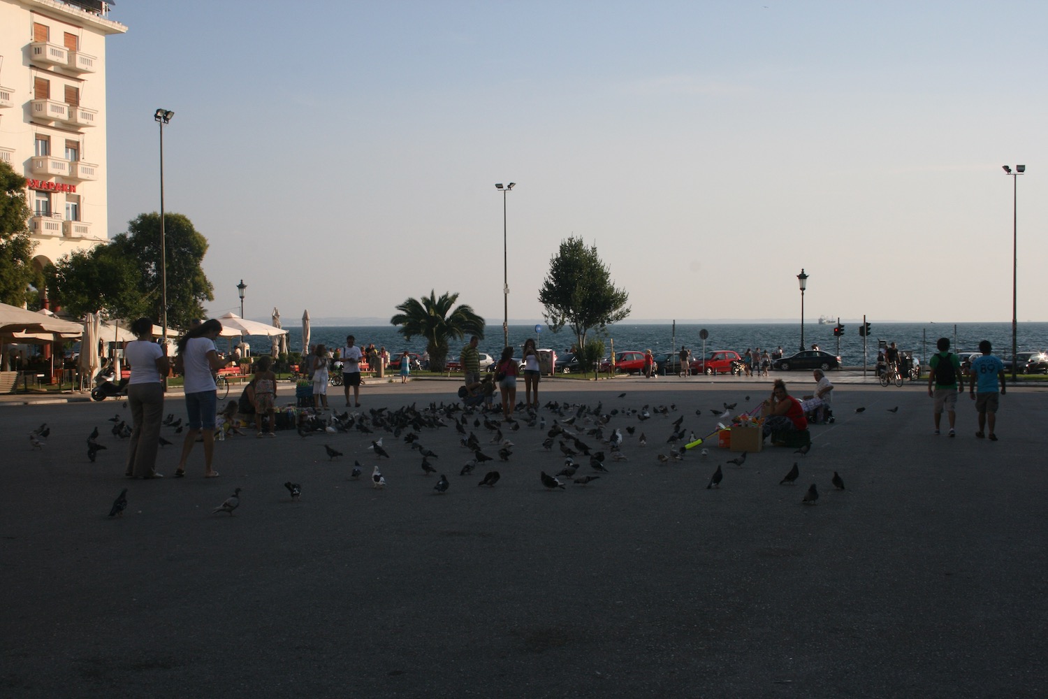 a group of people feeding birds on a street