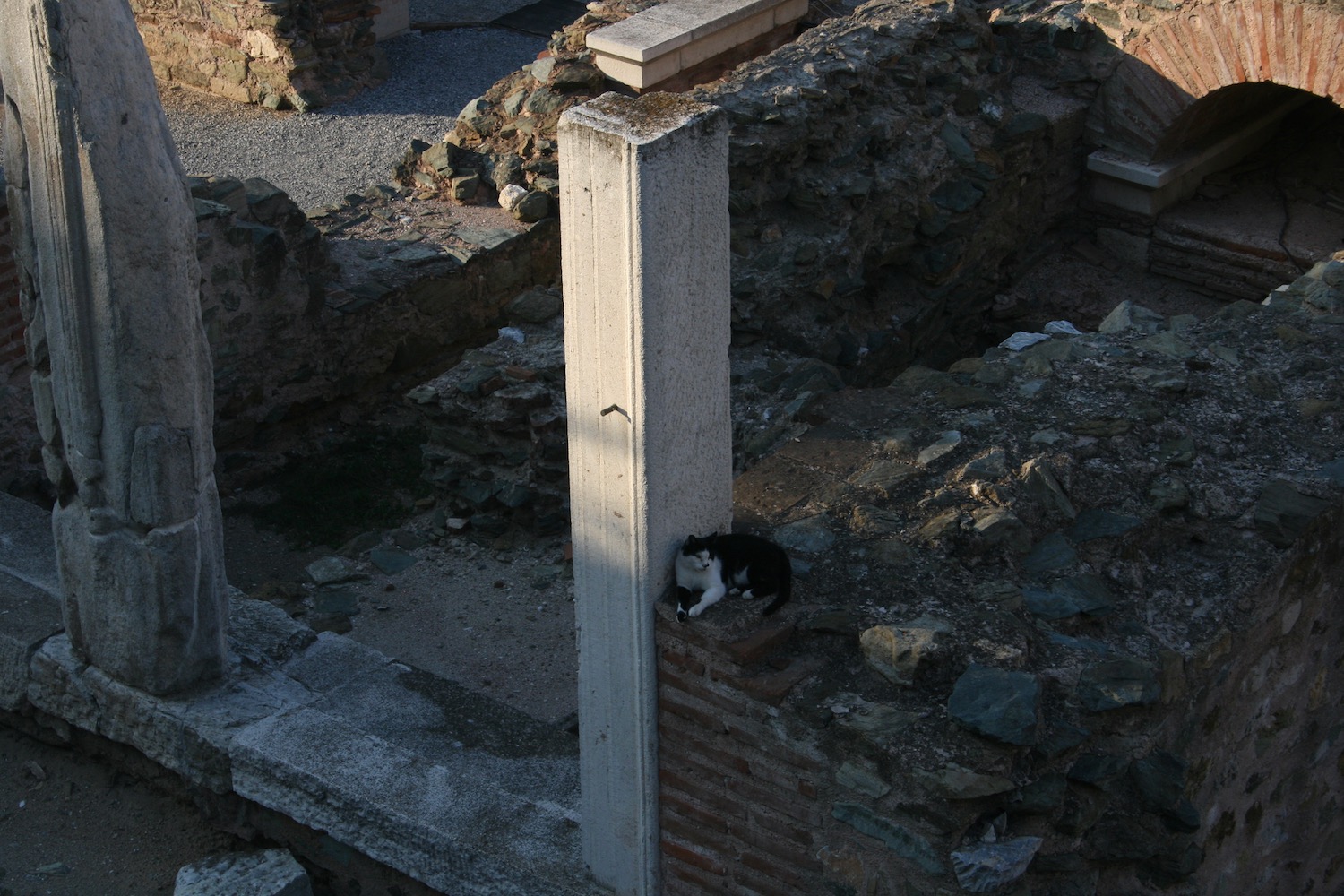 a cat lying on a pillar