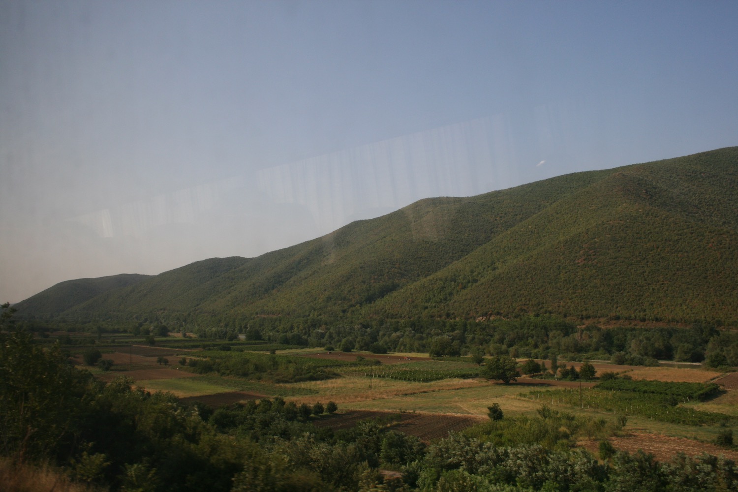 a green hills with trees and bushes