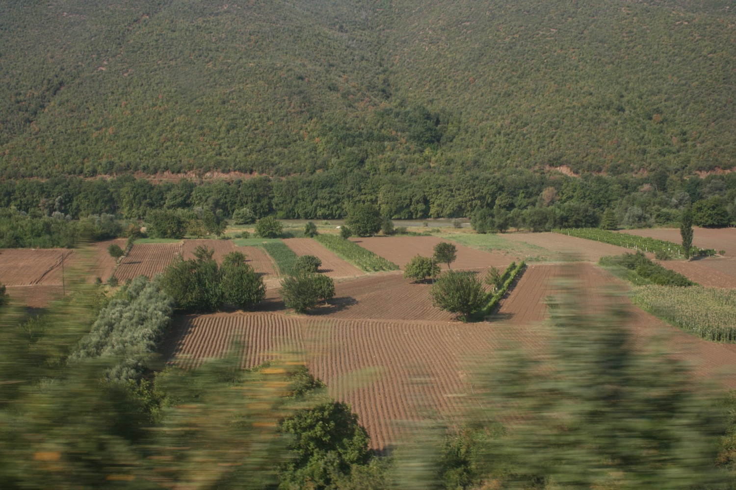 a field with trees and mountains in the background