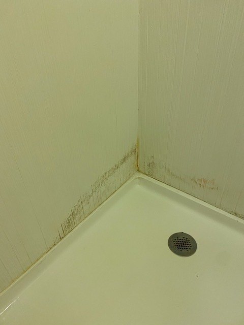 a shower with mold on the wall