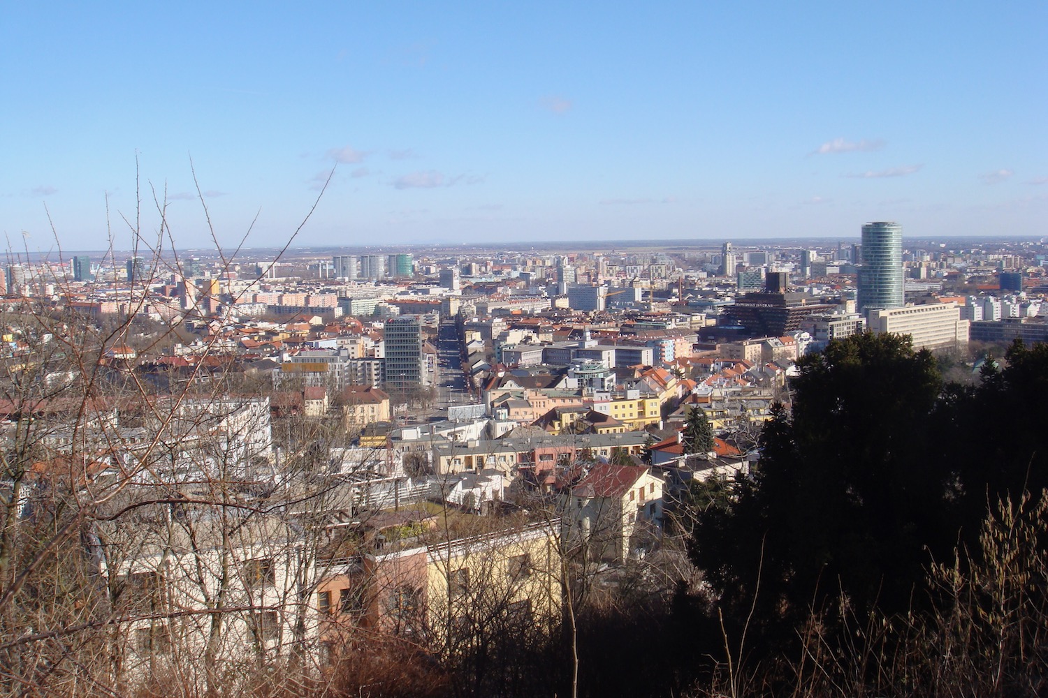 a city landscape with trees and blue sky