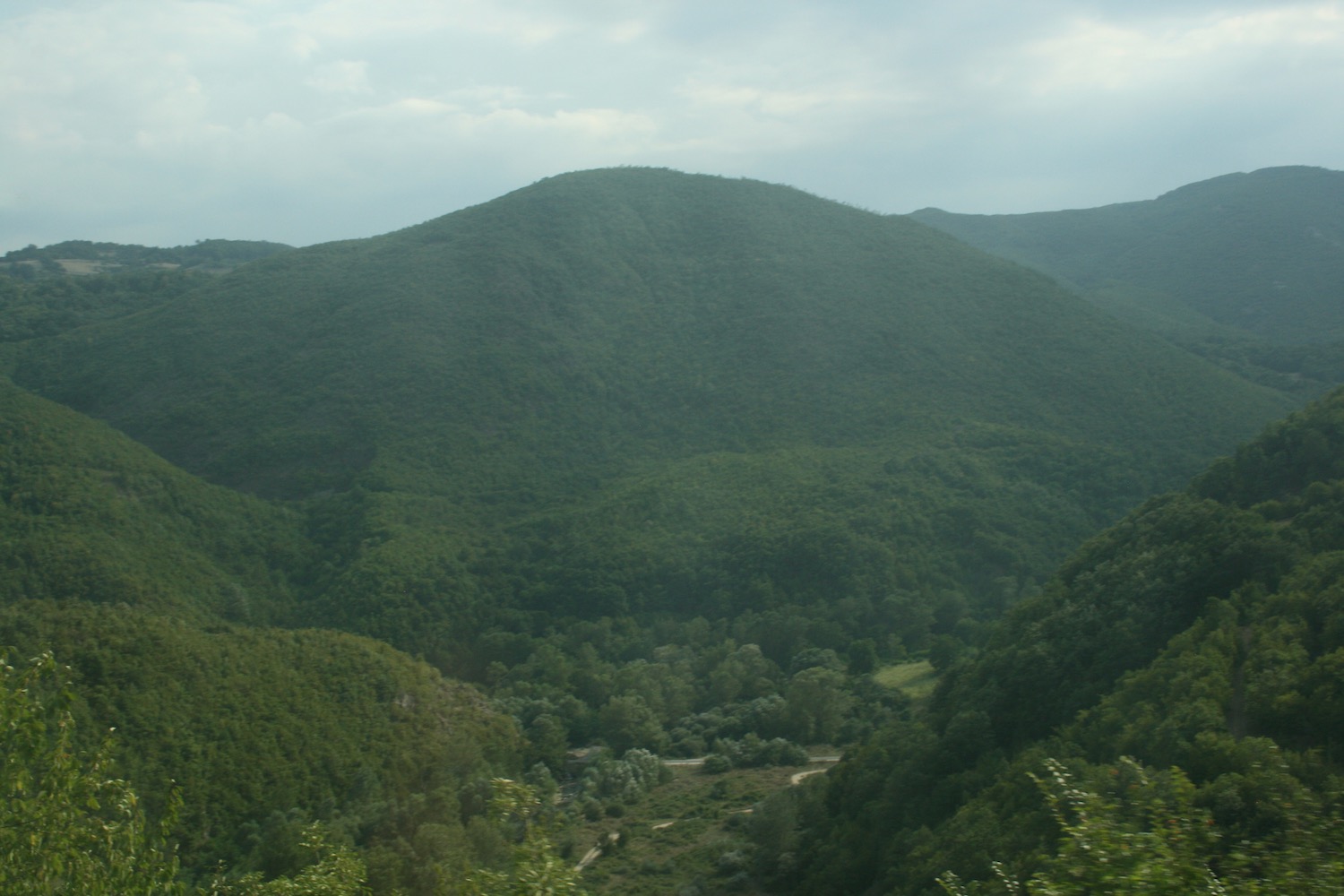 a green hills with trees