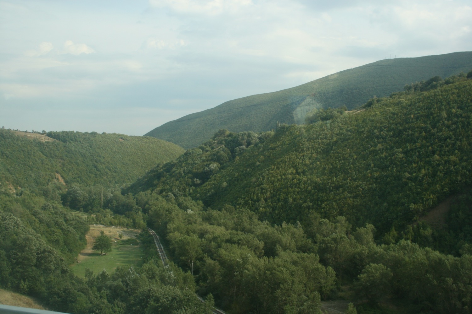 a green hills with trees