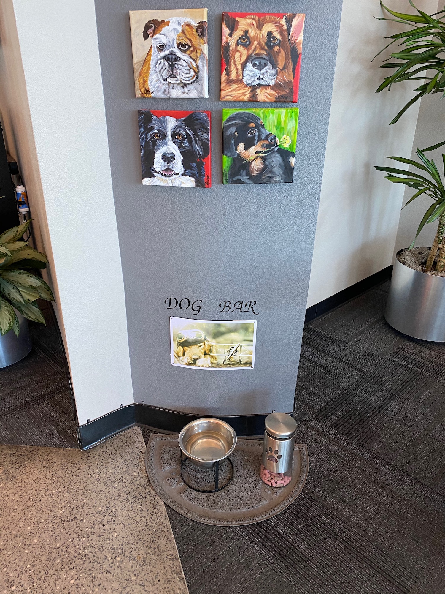 a dog food bowl and a dog bowl on a grey wall
