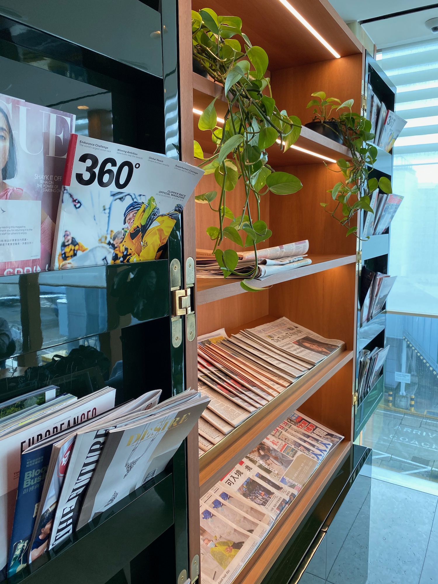 a shelves with magazines and a plant on it