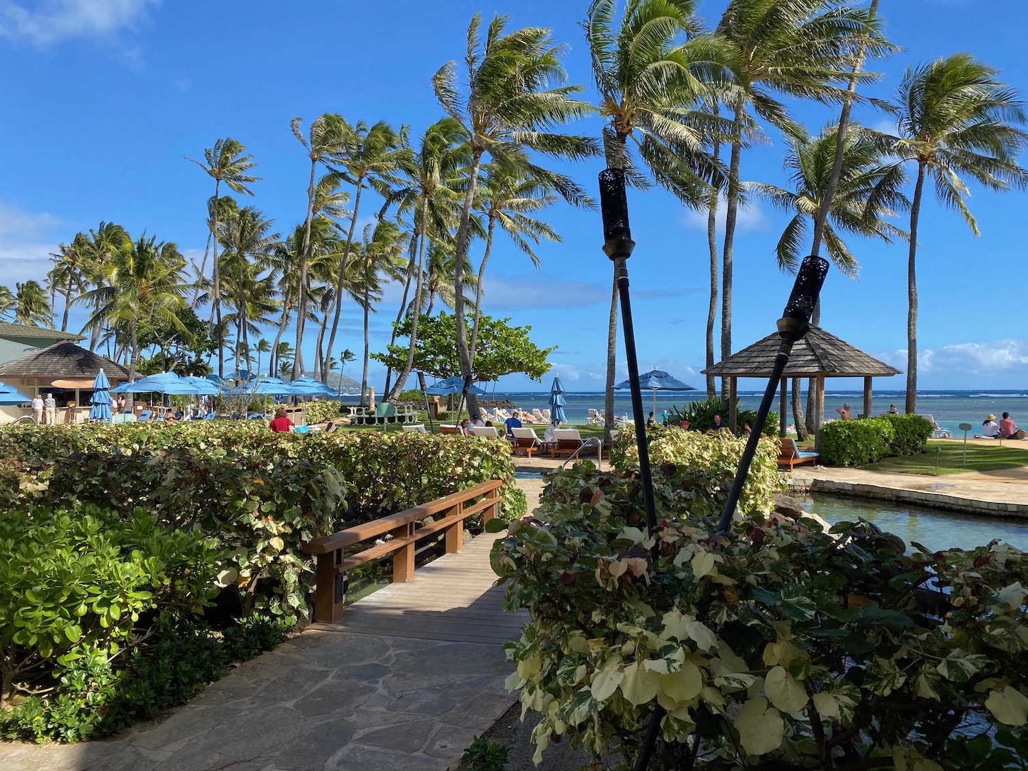 a path with palm trees and people on the beach