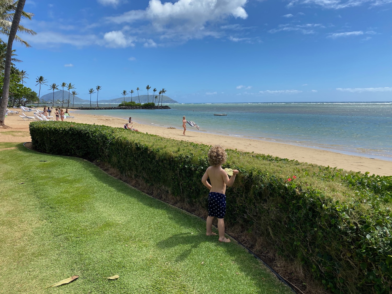 a child standing on a grass hedge next to a beach