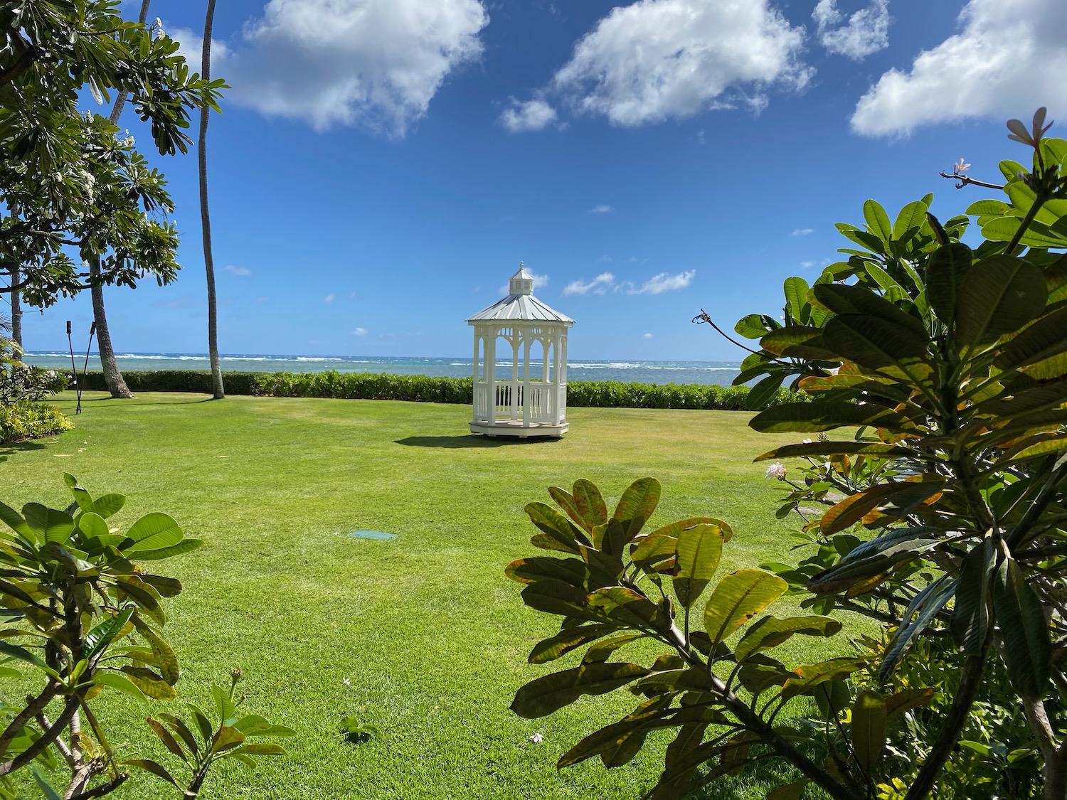 a white gazebo in a grassy area with a body of water in the background