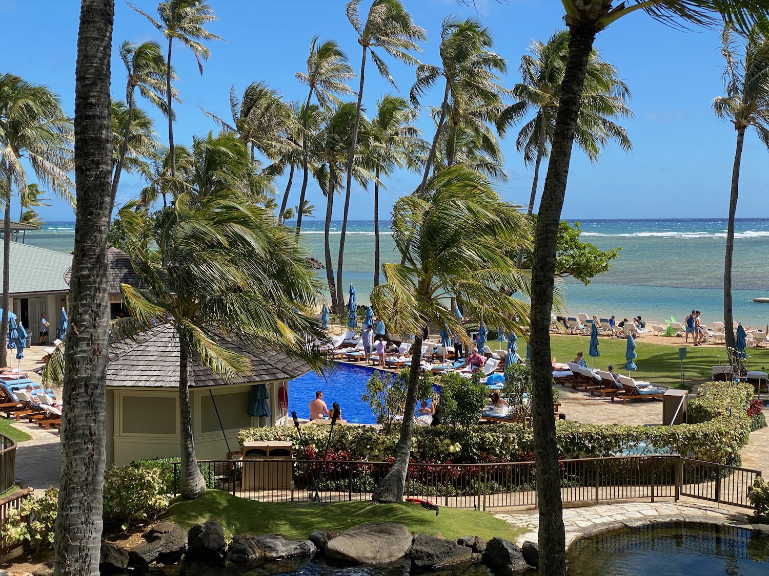 a pool with palm trees and people on the beach