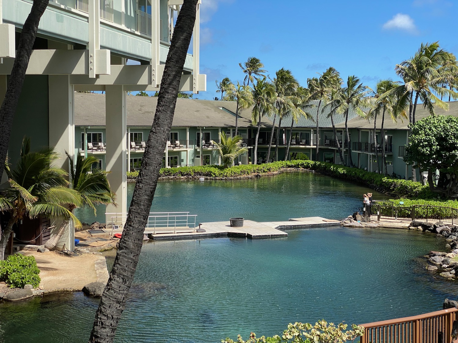 a pool with a building and palm trees