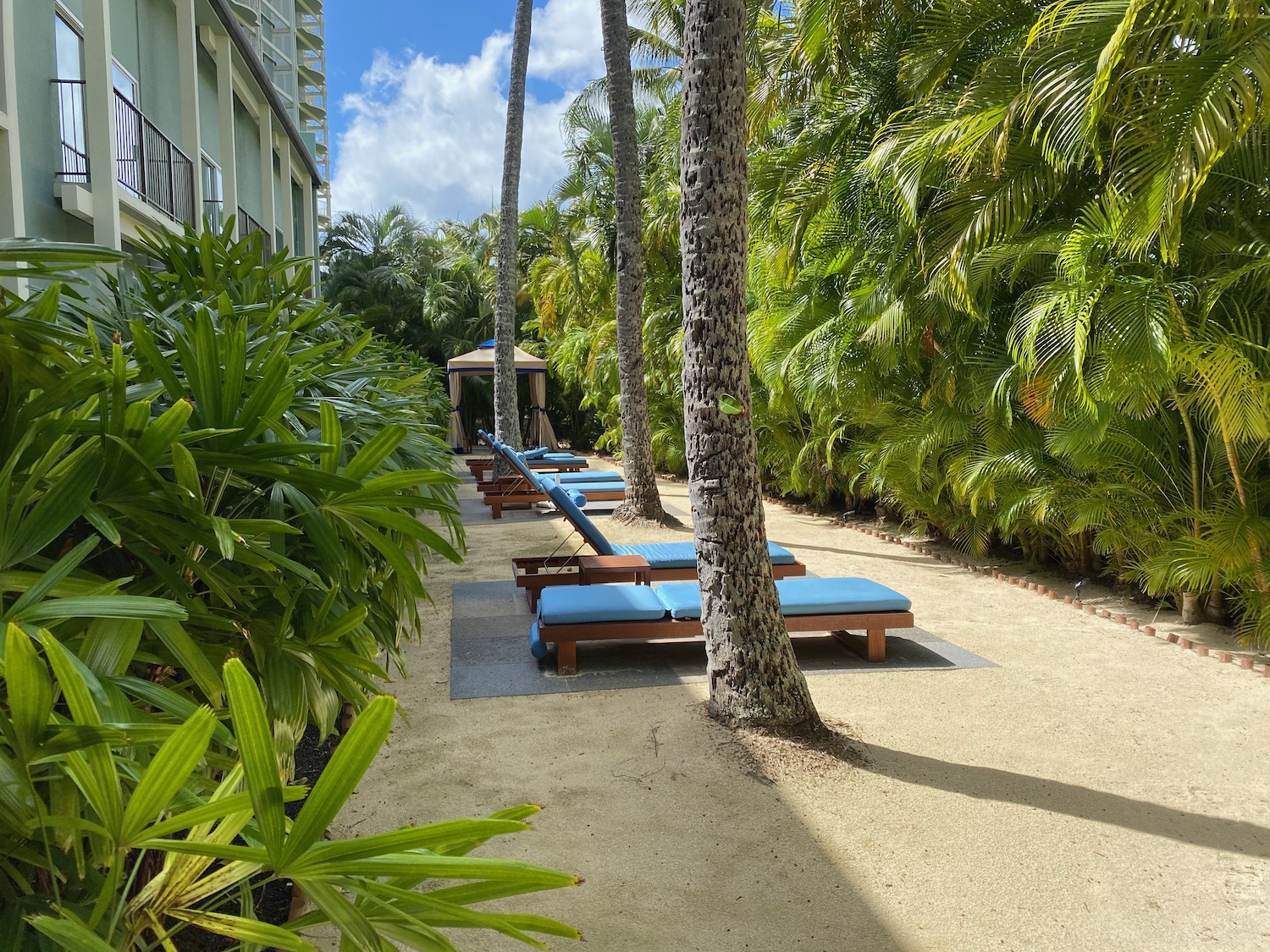 a row of lounge chairs on a beach