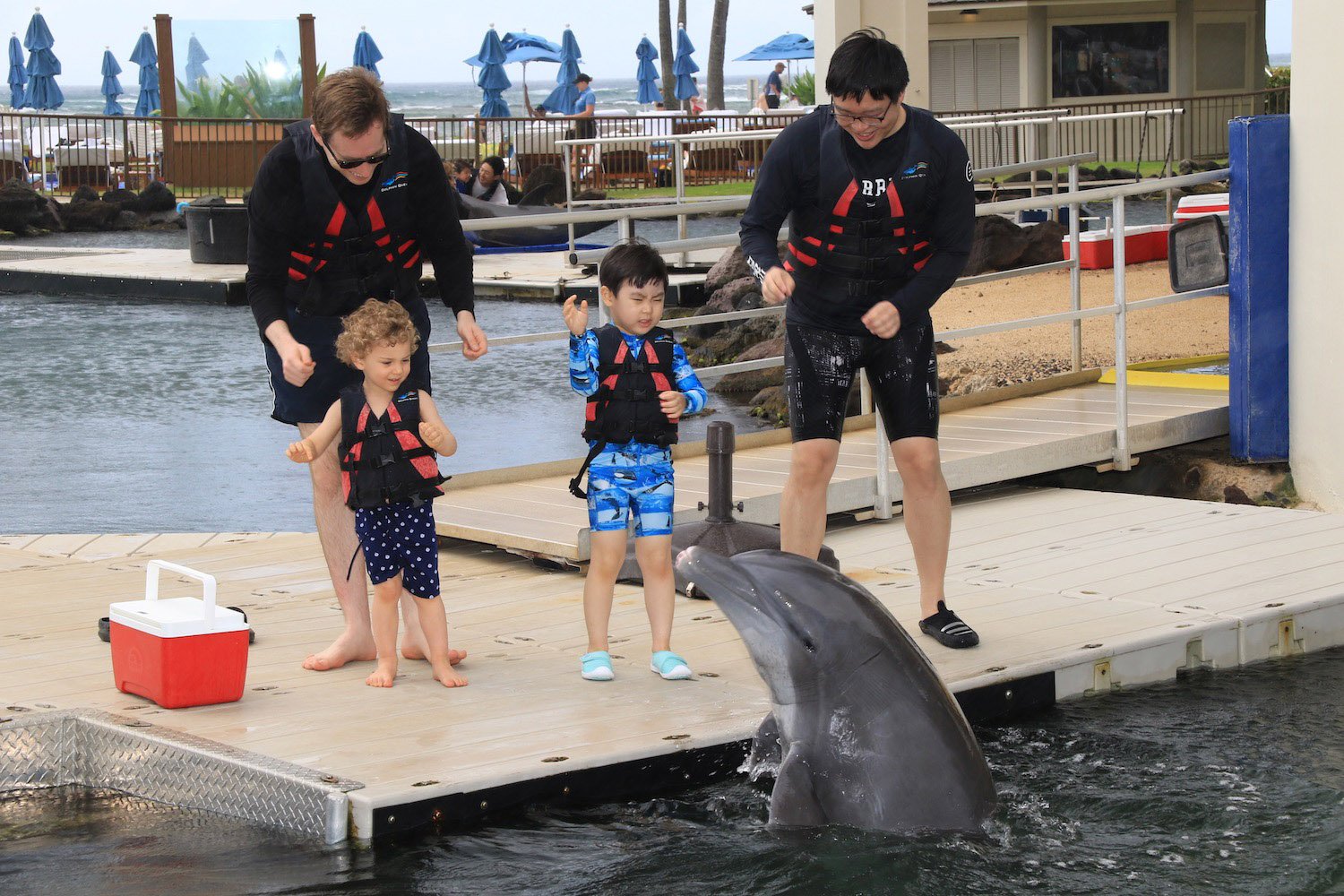 a group of people standing next to a dolphin