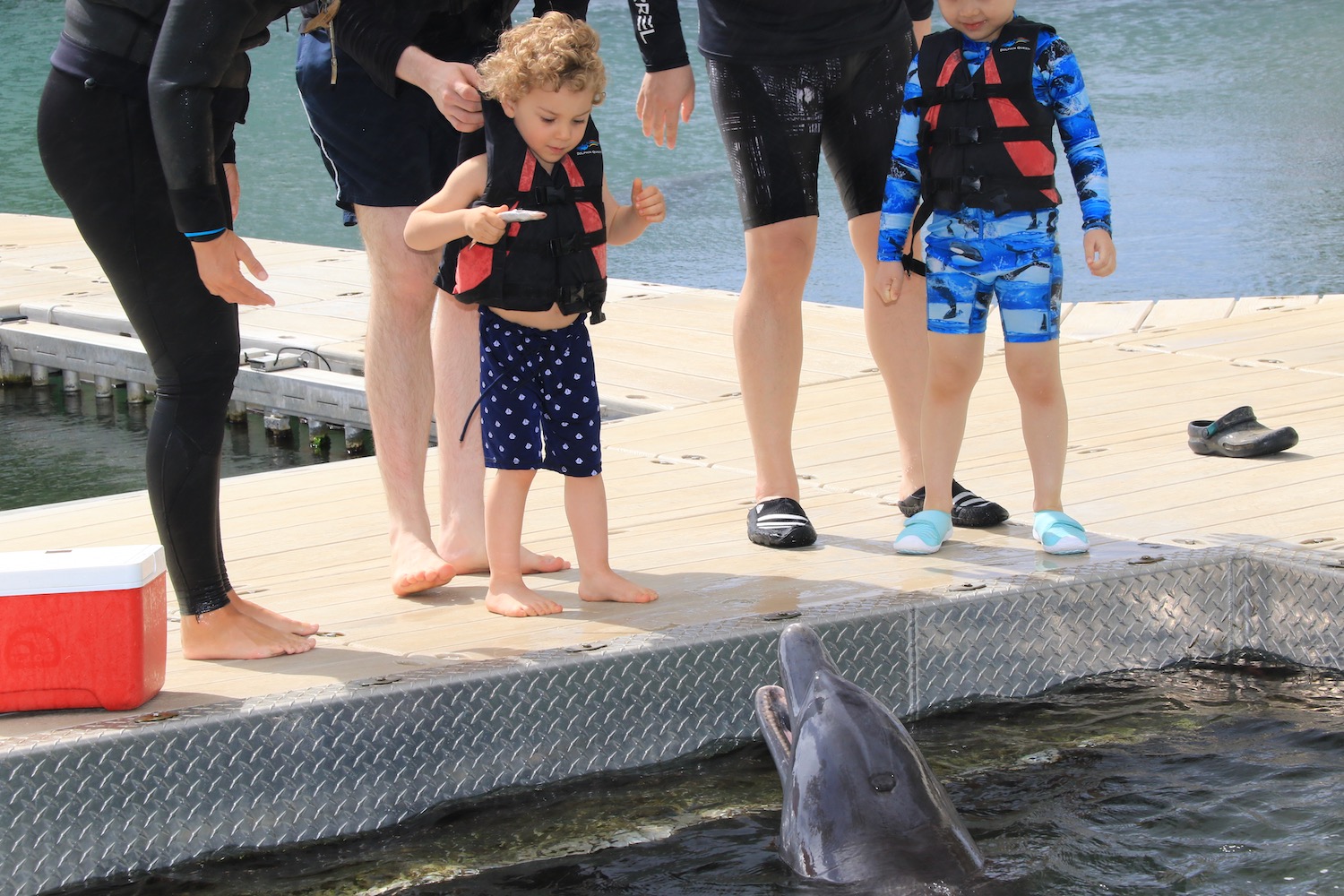 a group of people standing next to a dolphin