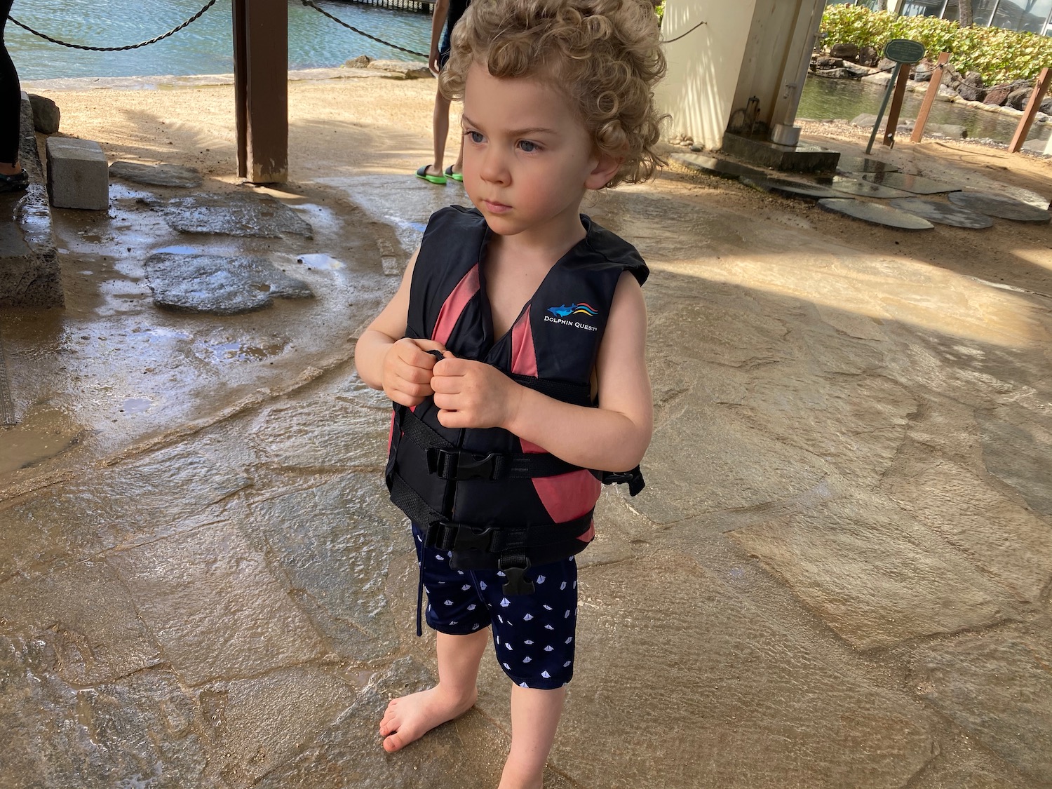 a child wearing a life jacket