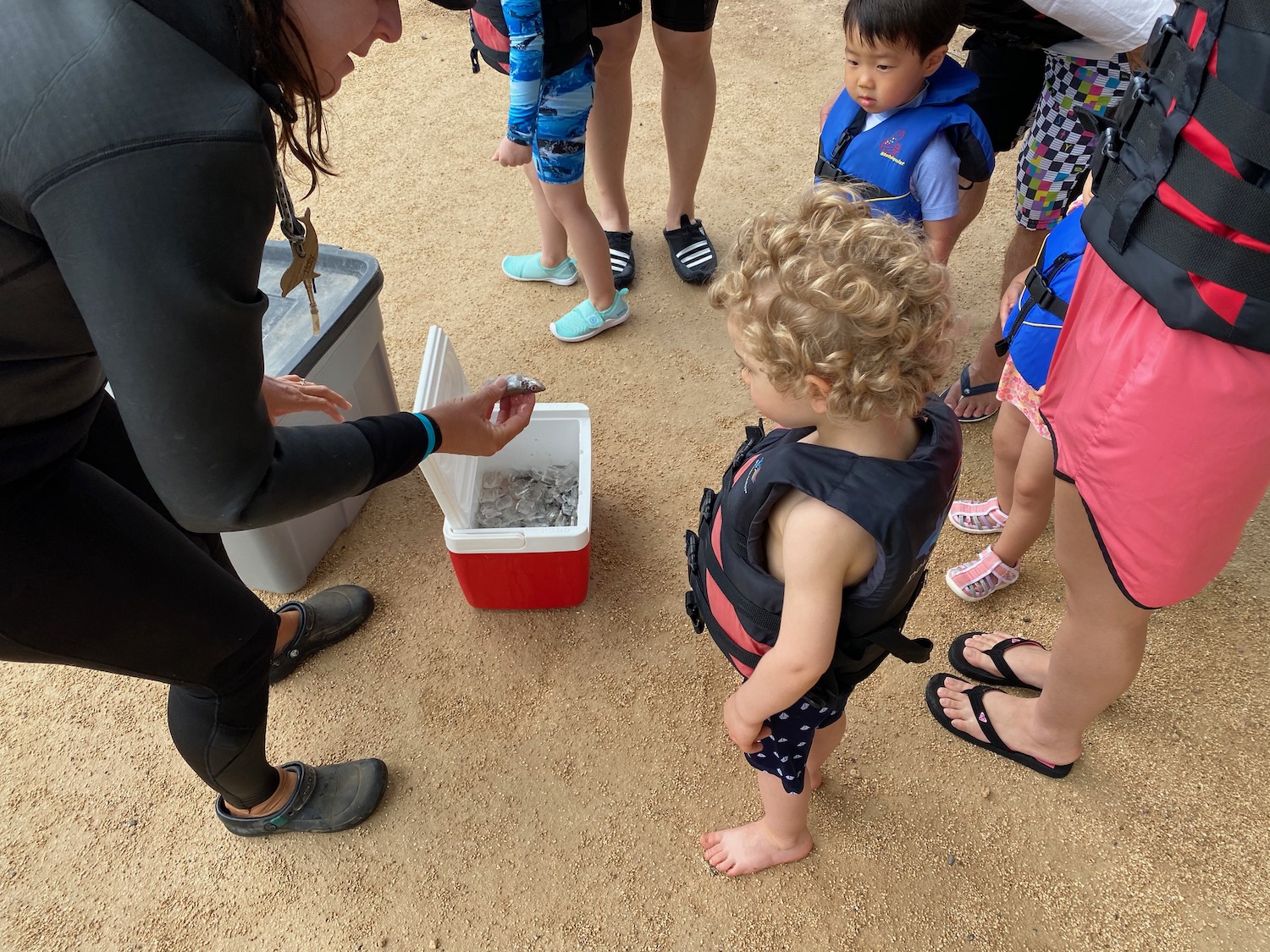 a group of people standing around a cooler and a child in life vest