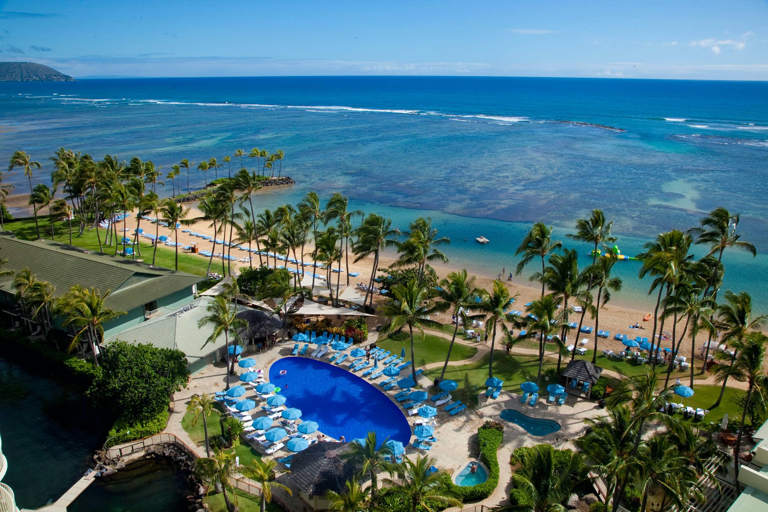 a swimming pool and palm trees on a beach