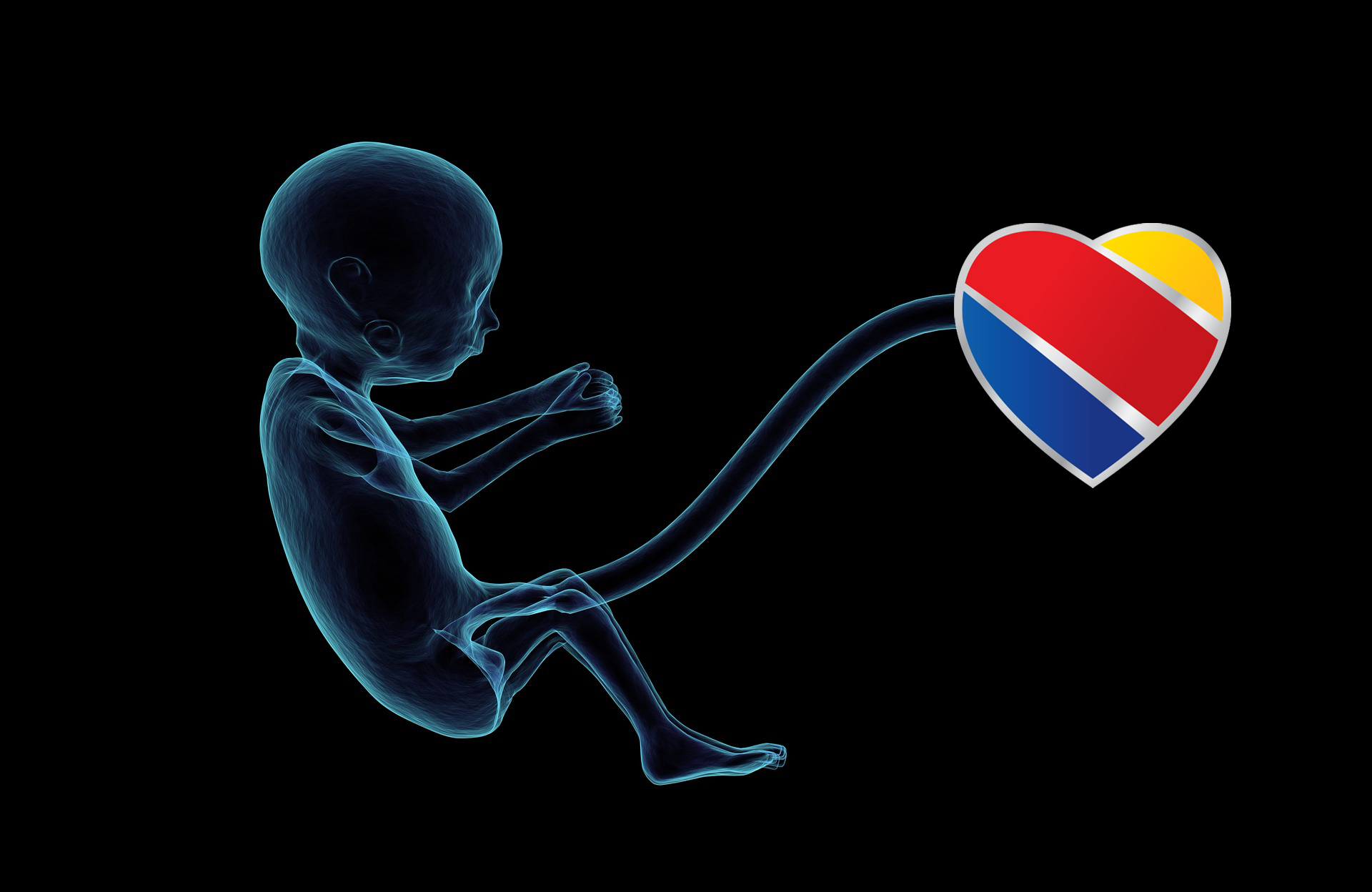 a x-ray of a baby