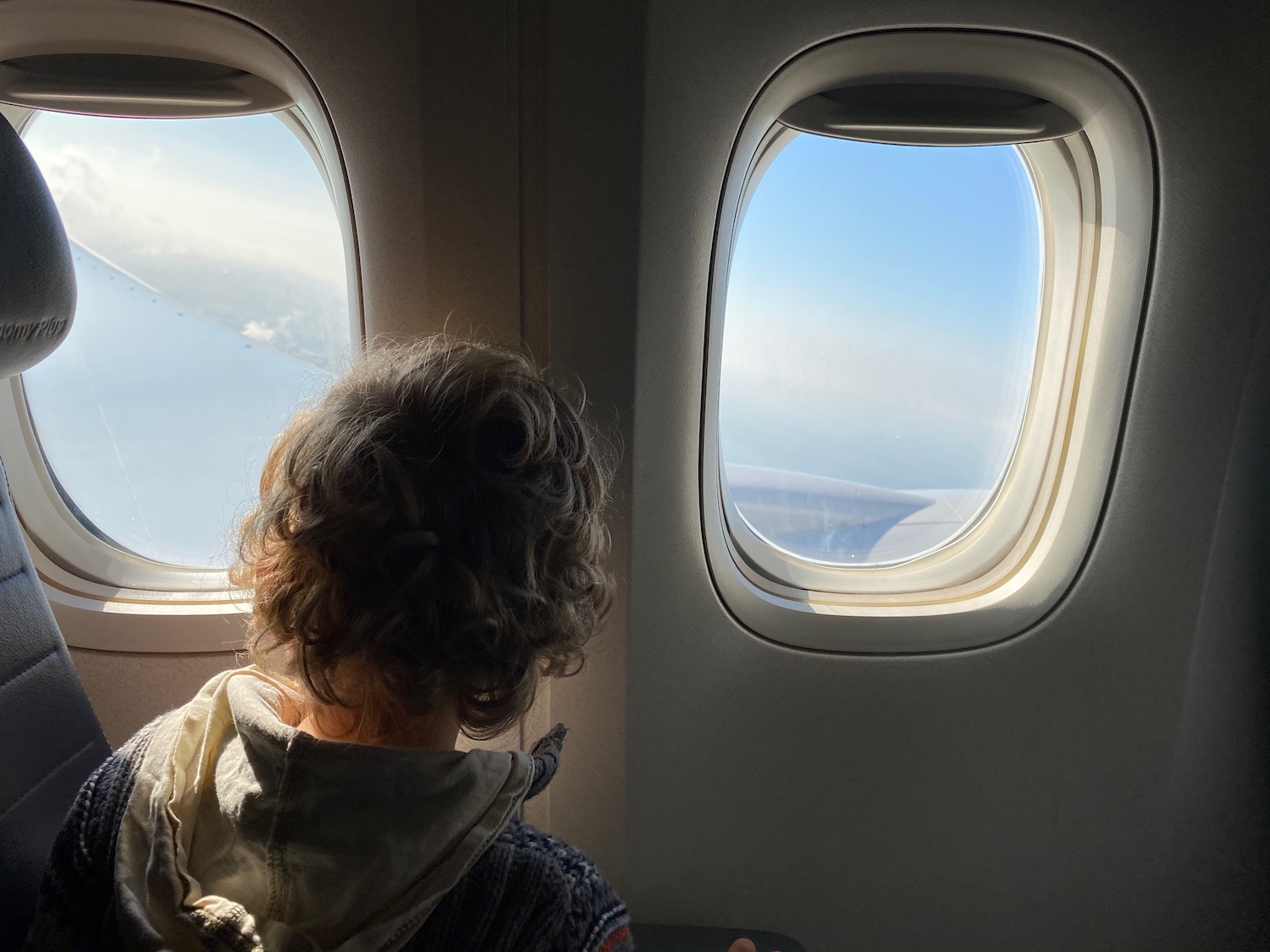 a person looking out of an airplane window