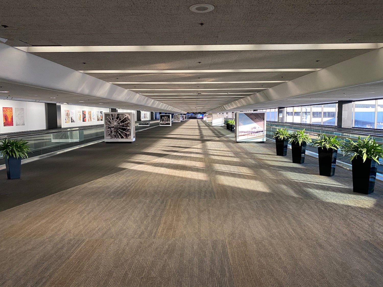 a hallway with plants in pots