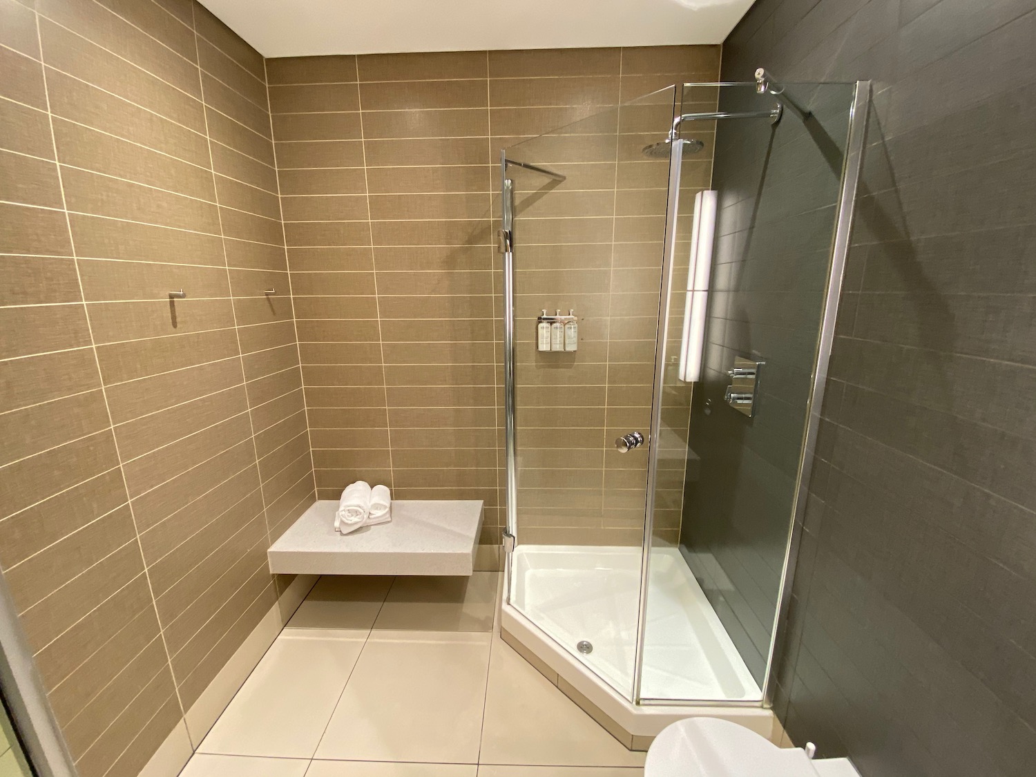 a bathroom with a shower and toilet