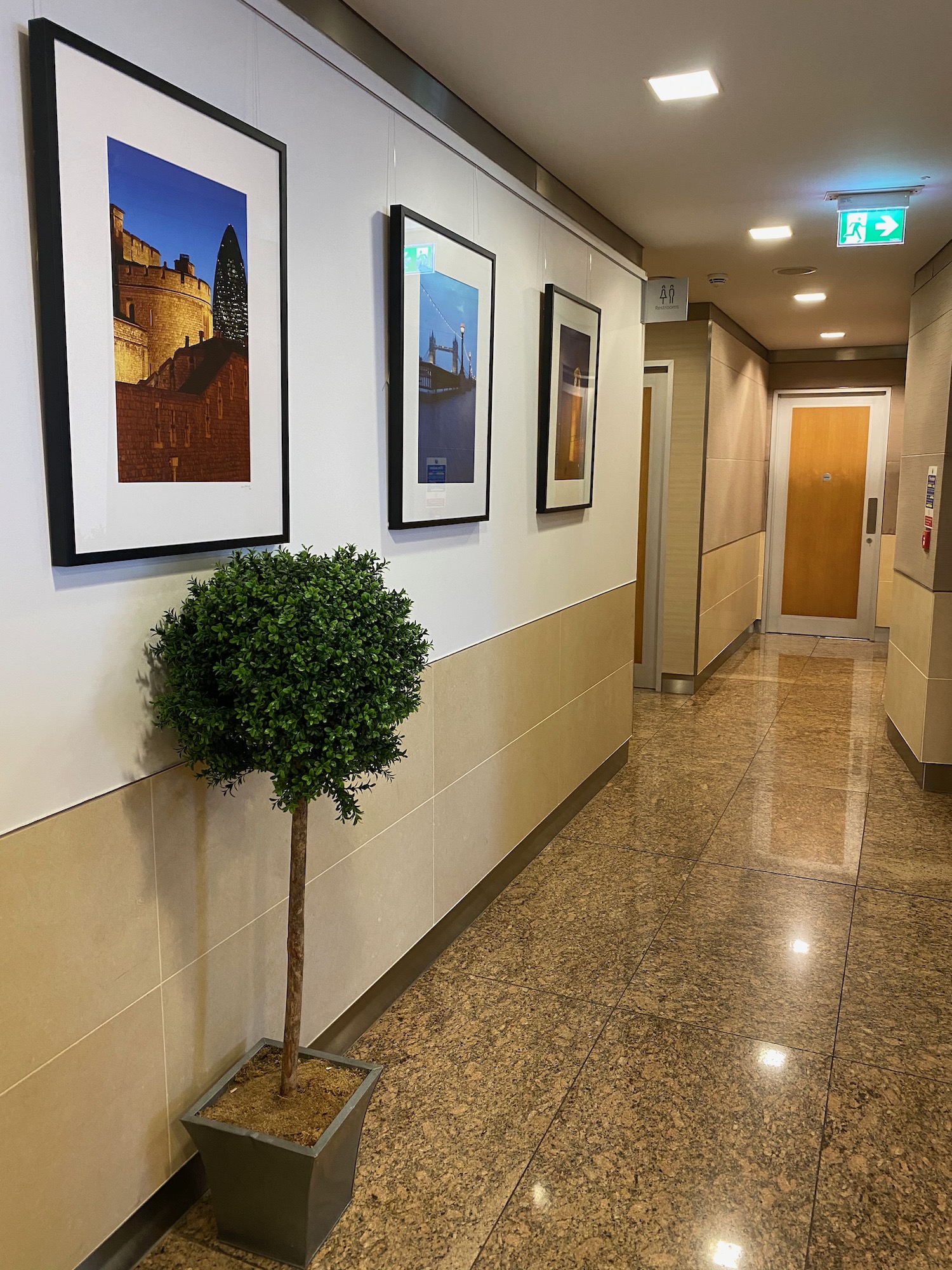 a hallway with a tree and pictures on the wall