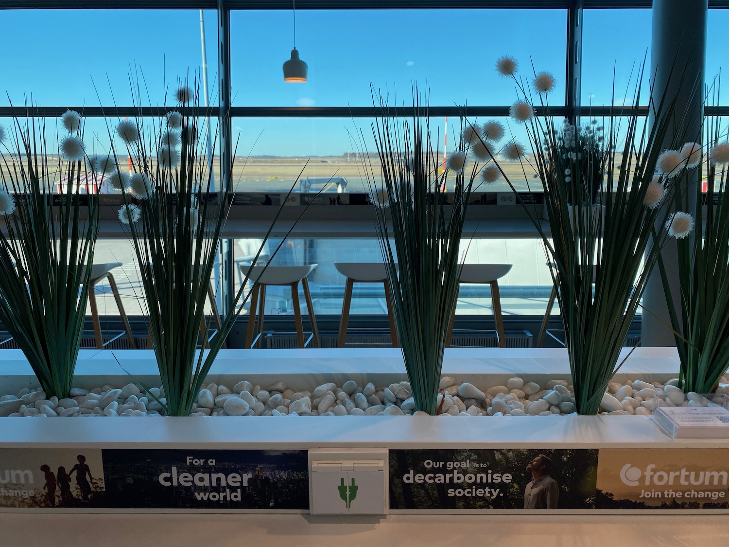 a planter with white flowers and rocks in front of a window