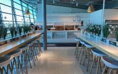 a long table with chairs and tables with plants in it