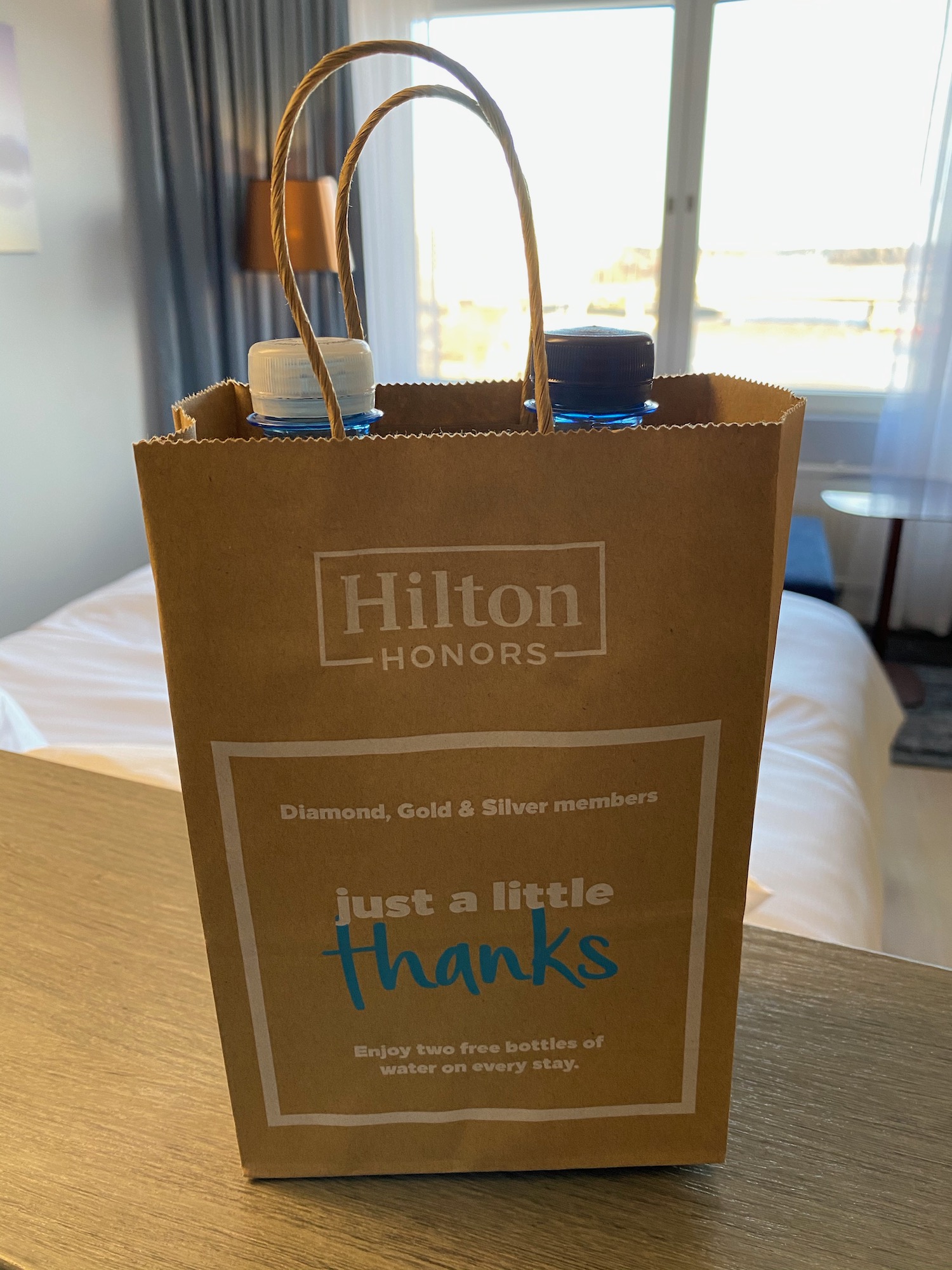 a bag with bottles in it