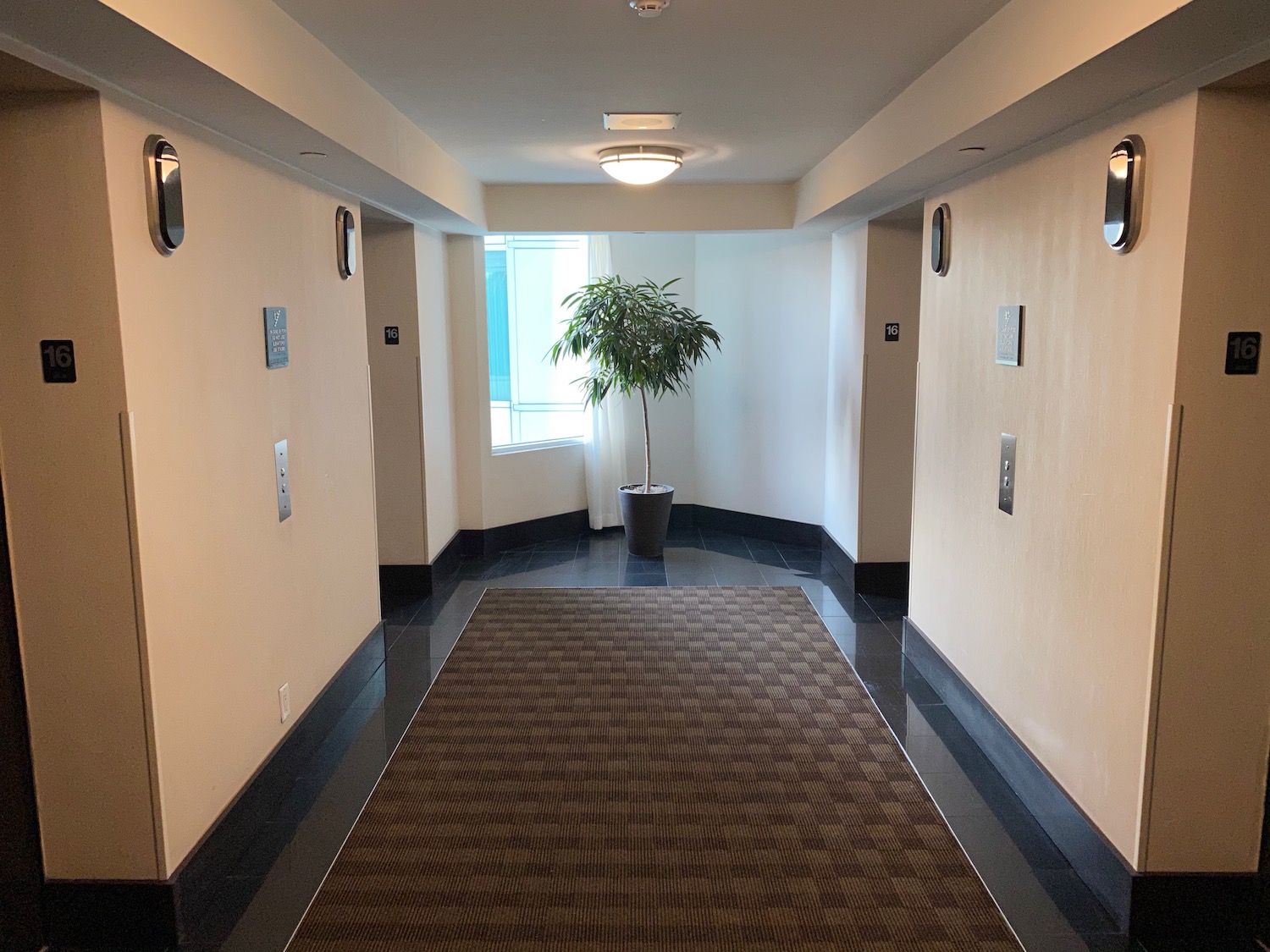 a hallway with a plant in a pot