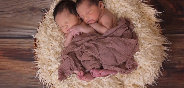 two babies sleeping in a basket