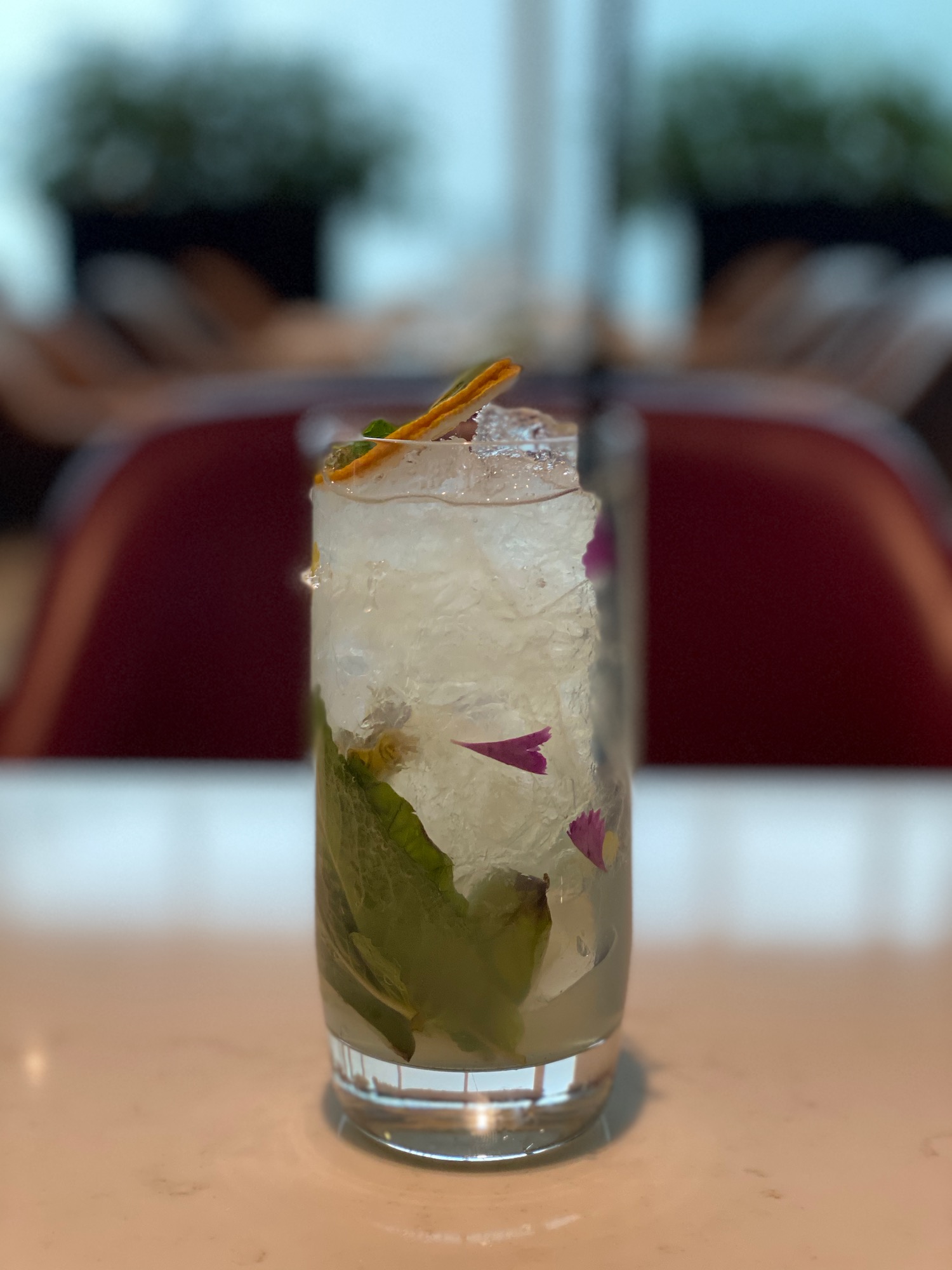 a glass with ice and a leafy drink