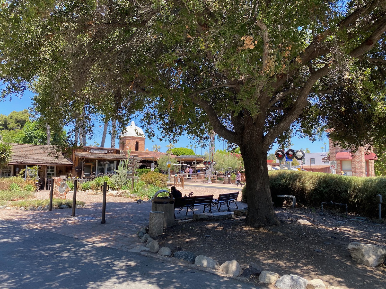 a tree in a park