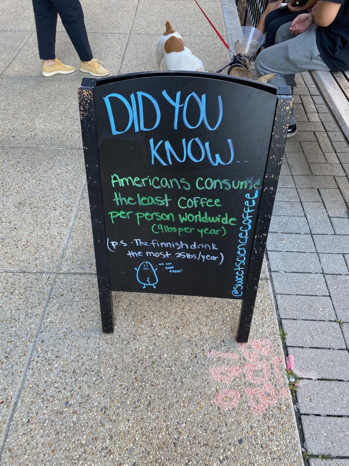 Great Coffee In Washington, DC Live and Let's Fly