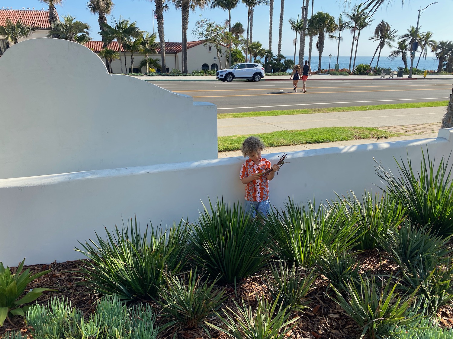 a child standing by a wall with plants and a road and palm trees