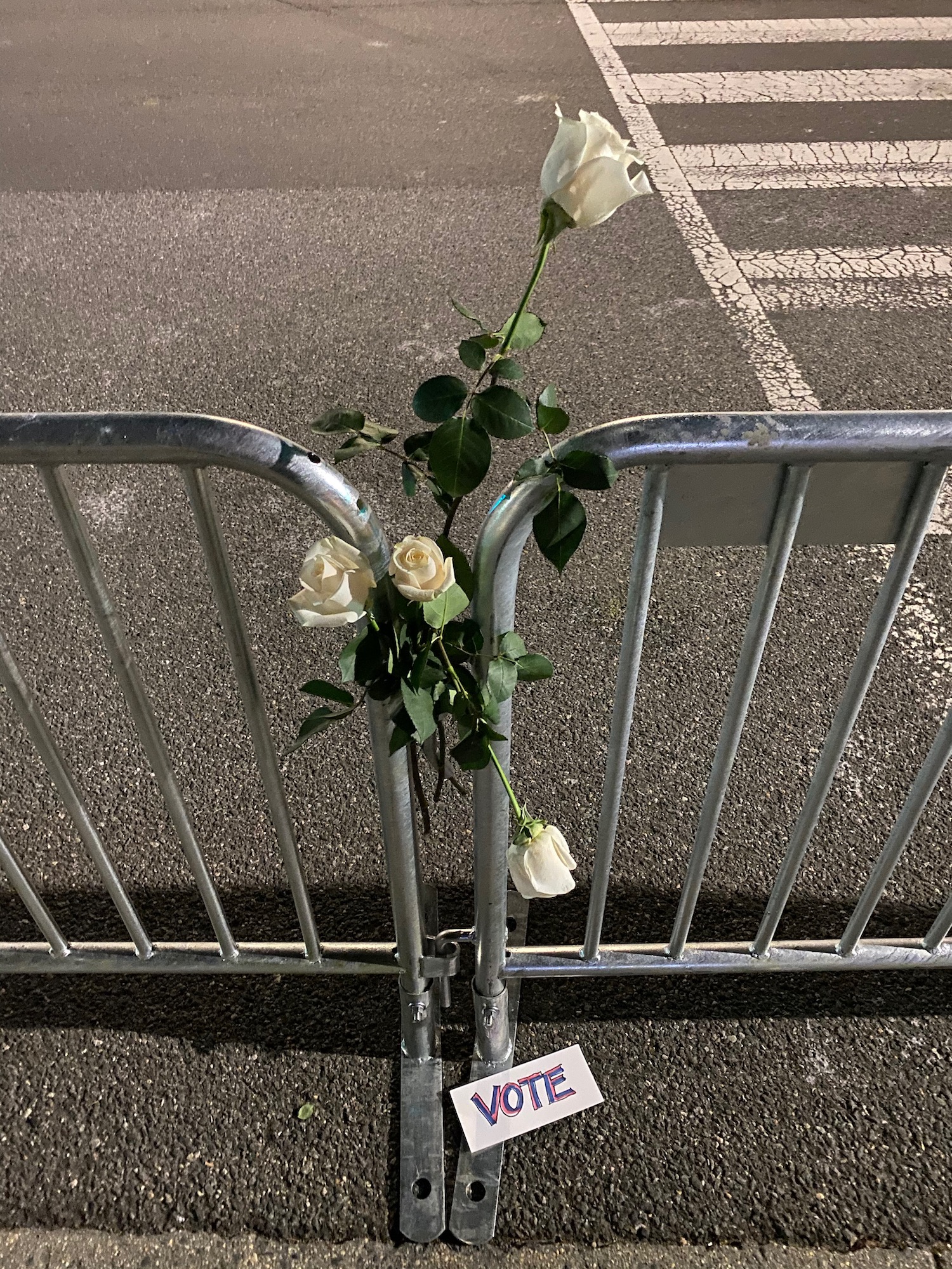 a white roses stuck in a fence