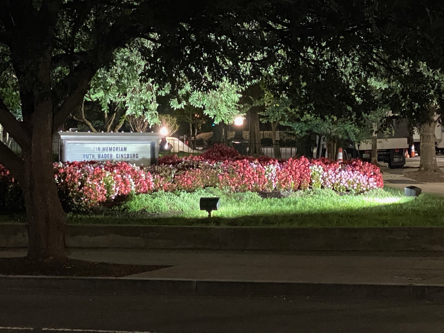 a sign with flowers and trees at night