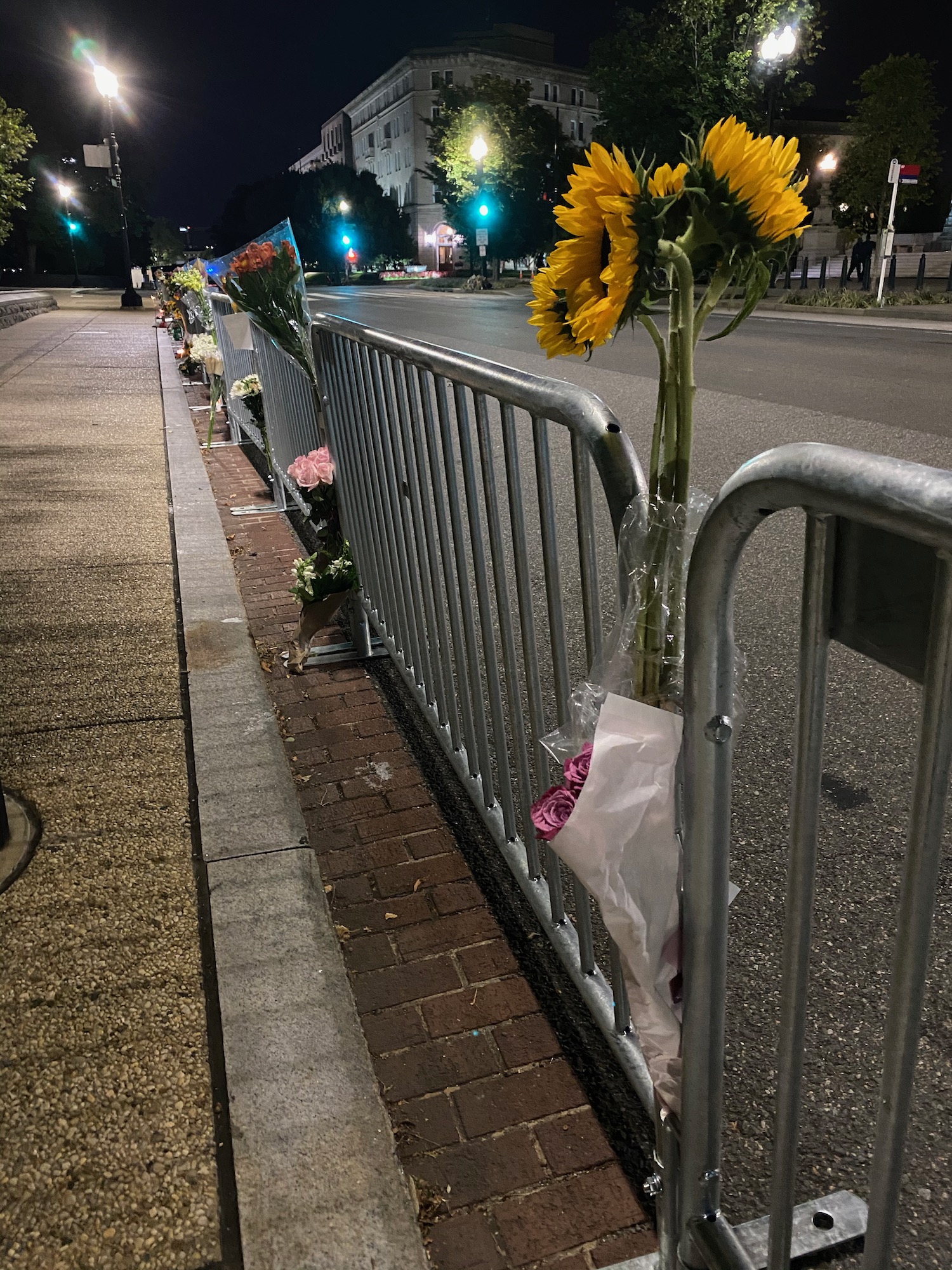 flowers on the side of a road