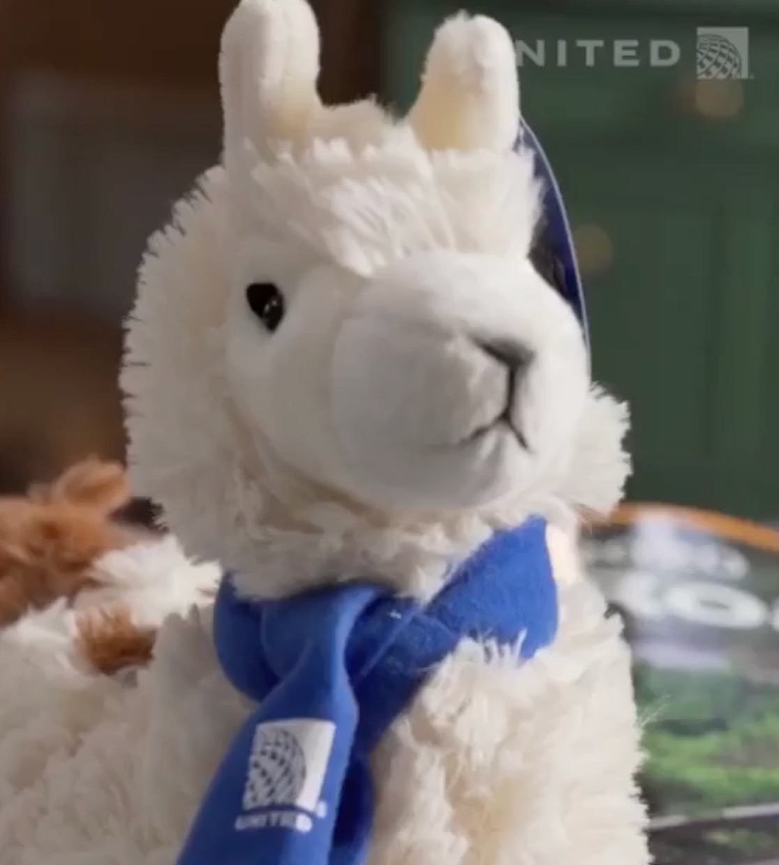 a stuffed animal with a blue scarf