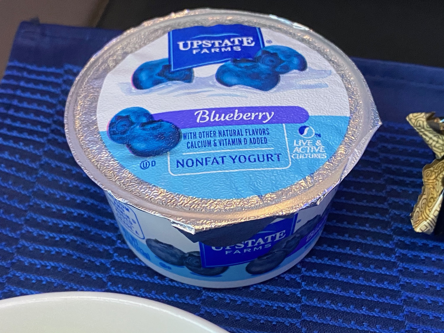 a blueberry yogurt in a plastic container