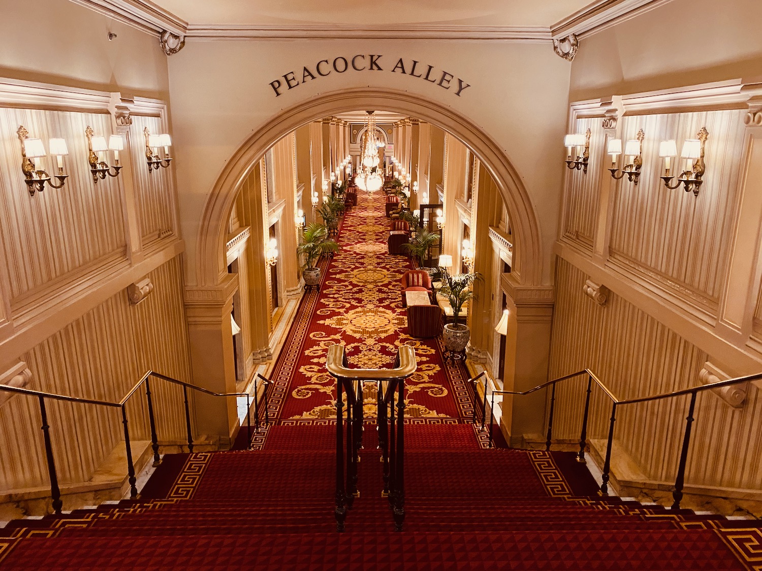 a hallway with red carpet and stairs