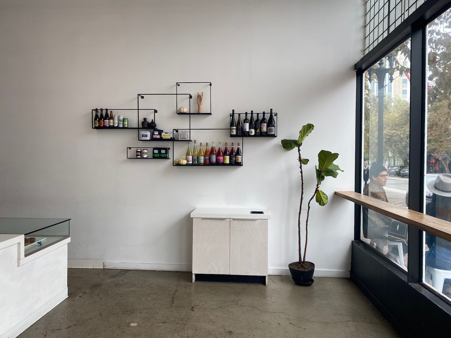 a room with a window and a plant and shelves of bottles